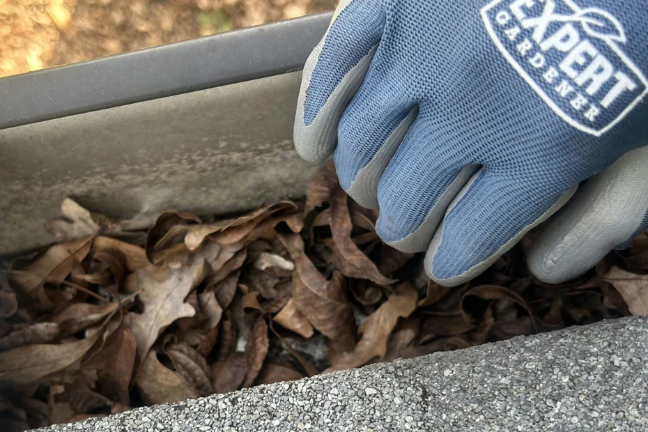 Gutter Cleaning Hackberry