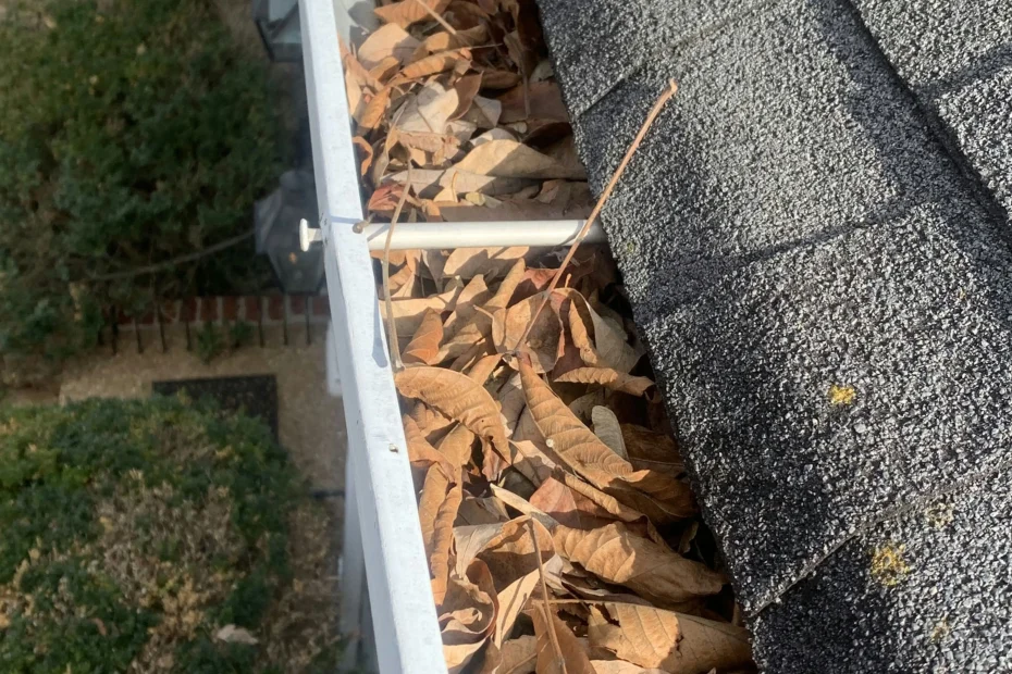 Gutter Cleaning Hackberry