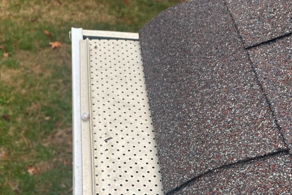 Gutter Cleaning Hackberry