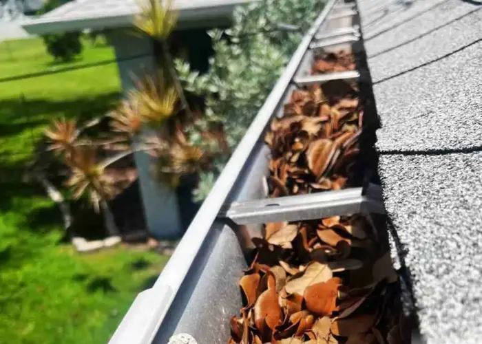 Gutter Cleaning Hackberry home page